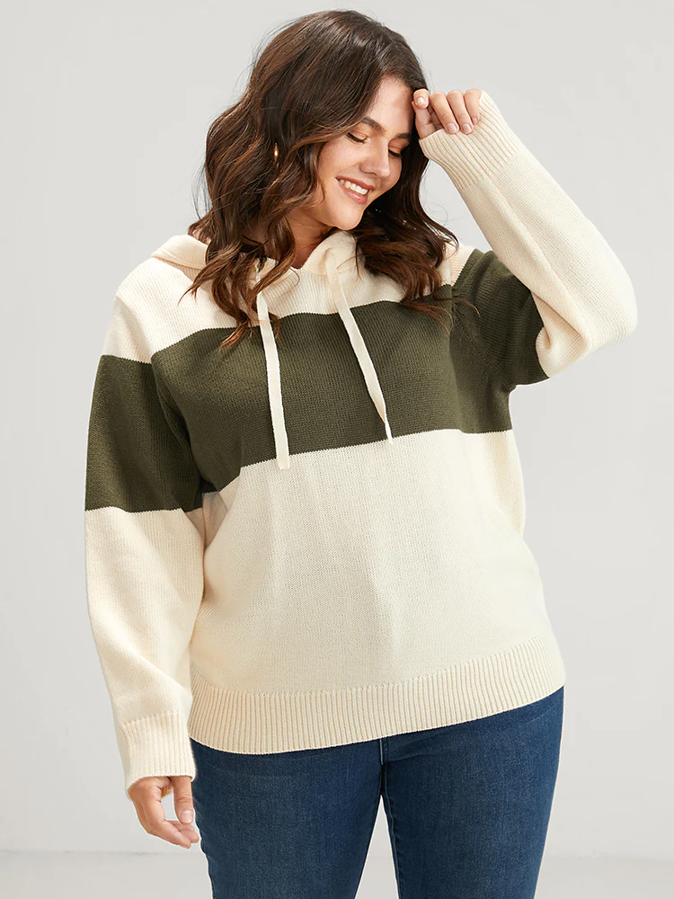 Colorblock Contrast Pointelle Knit Drawstring Hooded Knit Top